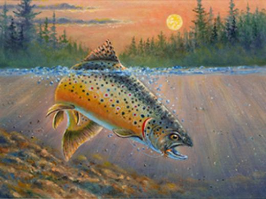 millonig-inland-trout